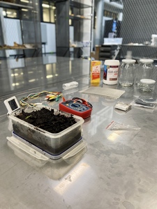 Bild: Bacteria Battery